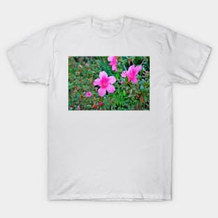 Kula Botanical Gardens Study 3 T-Shirt